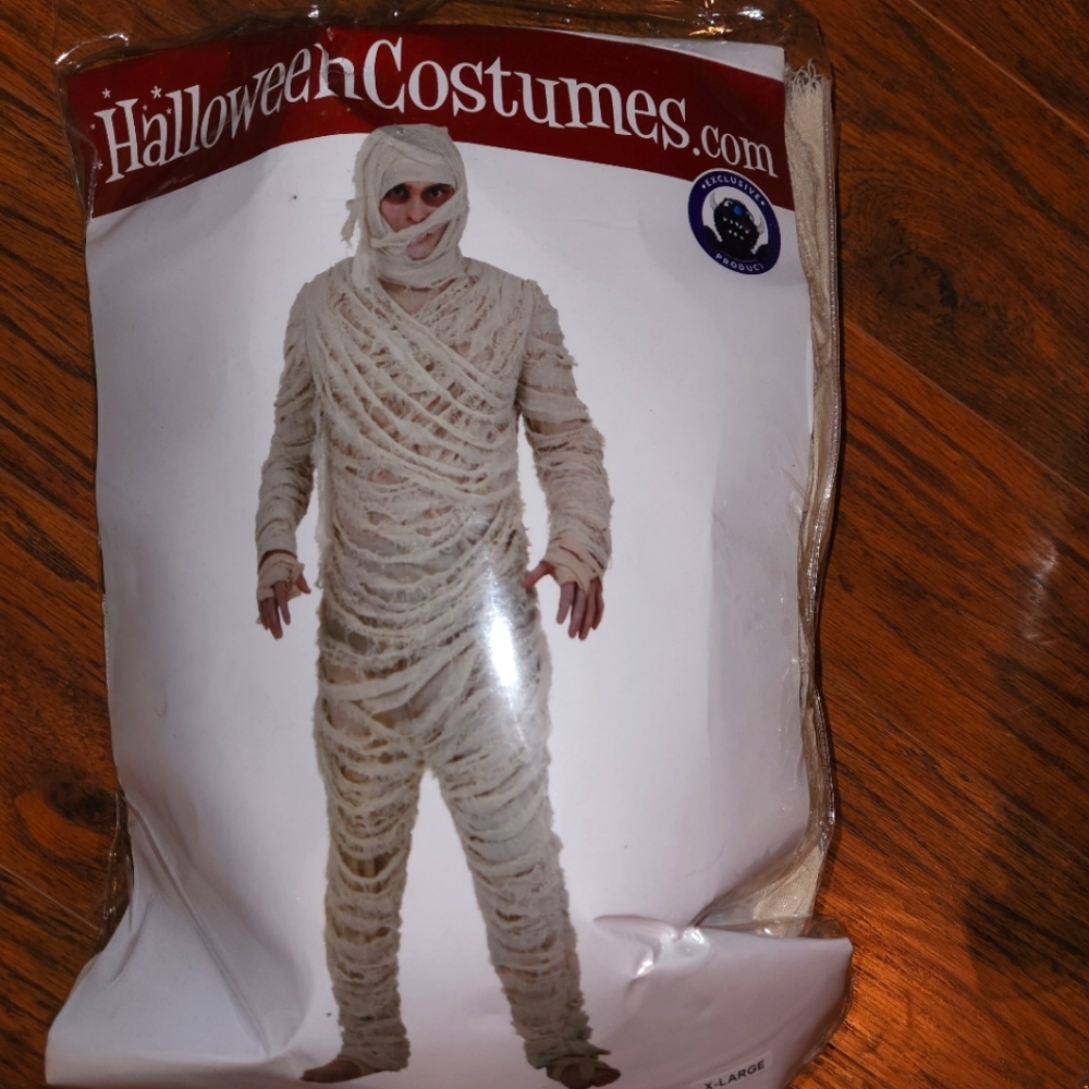 Egyptian Mummy costume